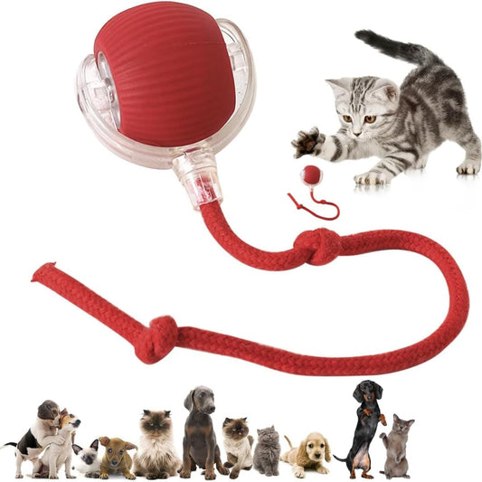 ShopKrafted Interactive Rolling Cat & Dog Toy